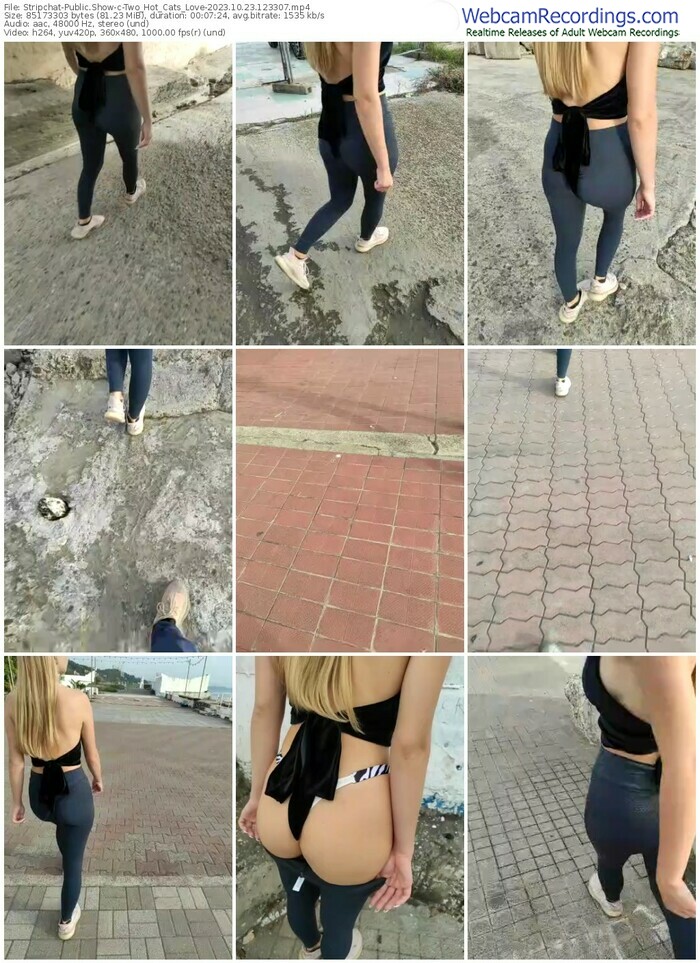 stripchat-two_hot_cats_love-10-23-2023-12-33-07