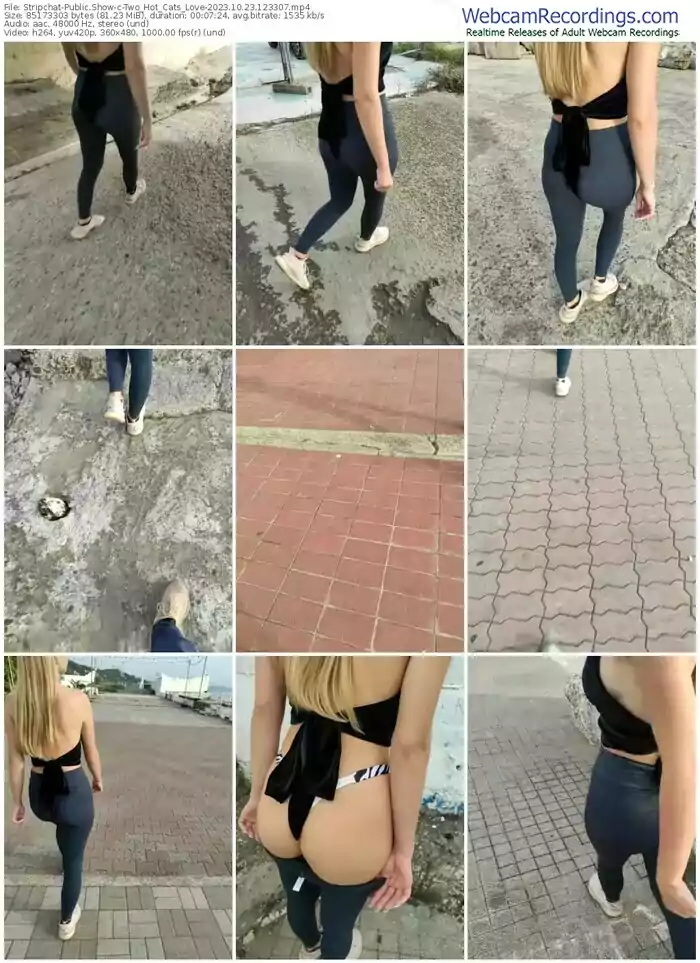 stripchat-two_hot_cats_love-10-23-2023-12-33-07