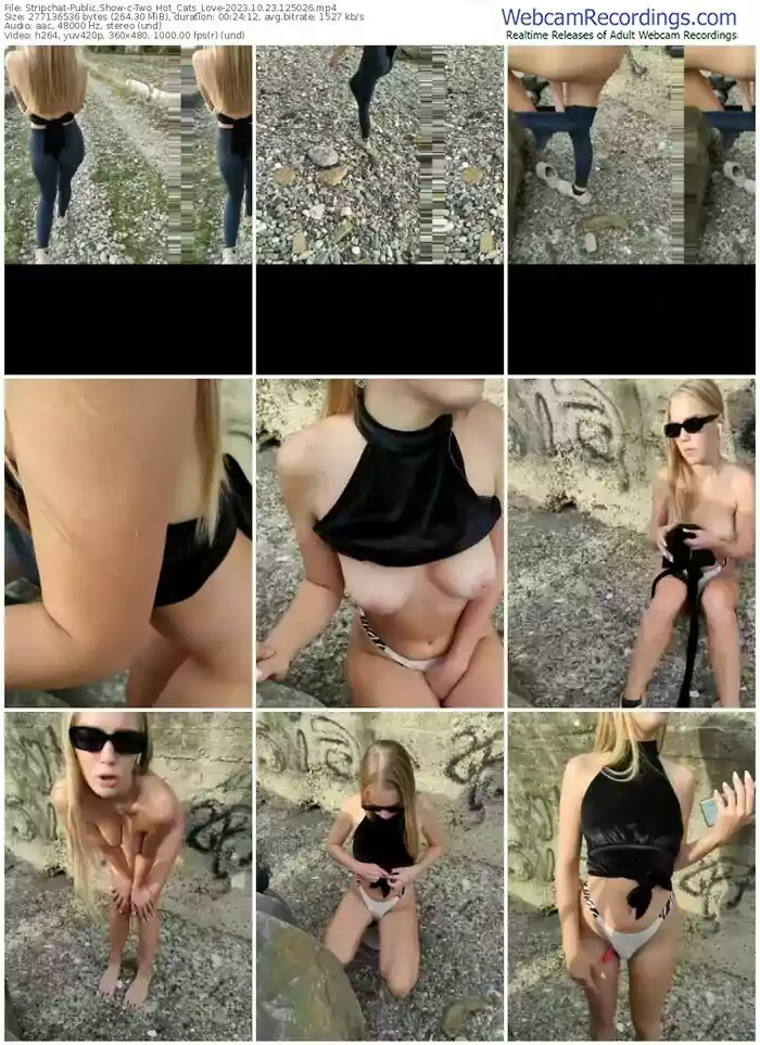 stripchat-two_hot_cats_love-10-23-2023-12-50-26