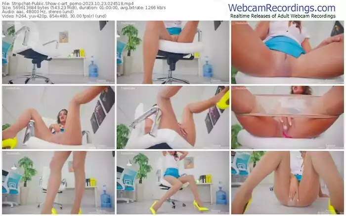 stripchat-art_porno-10-23-2023-02-45-18