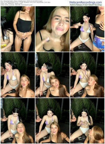 stripchat-pinkpussies--10-24-2023-04-04-19