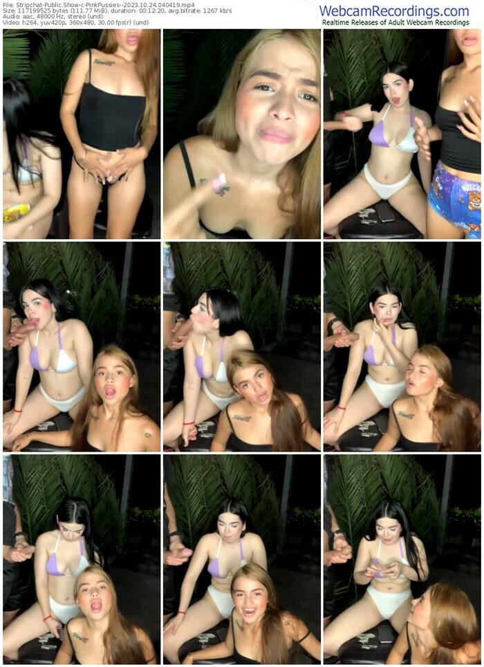 stripchat-pinkpussies--10-24-2023-04-04-19