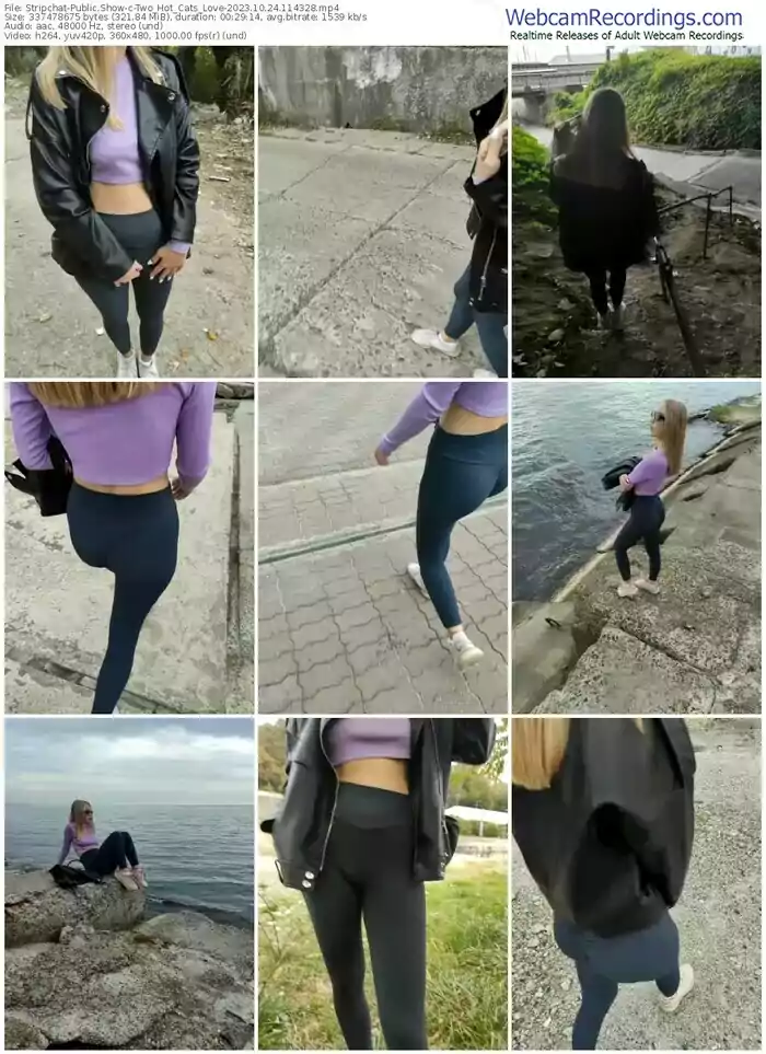 stripchat-two_hot_cats_love-10-24-2023-11-43-28