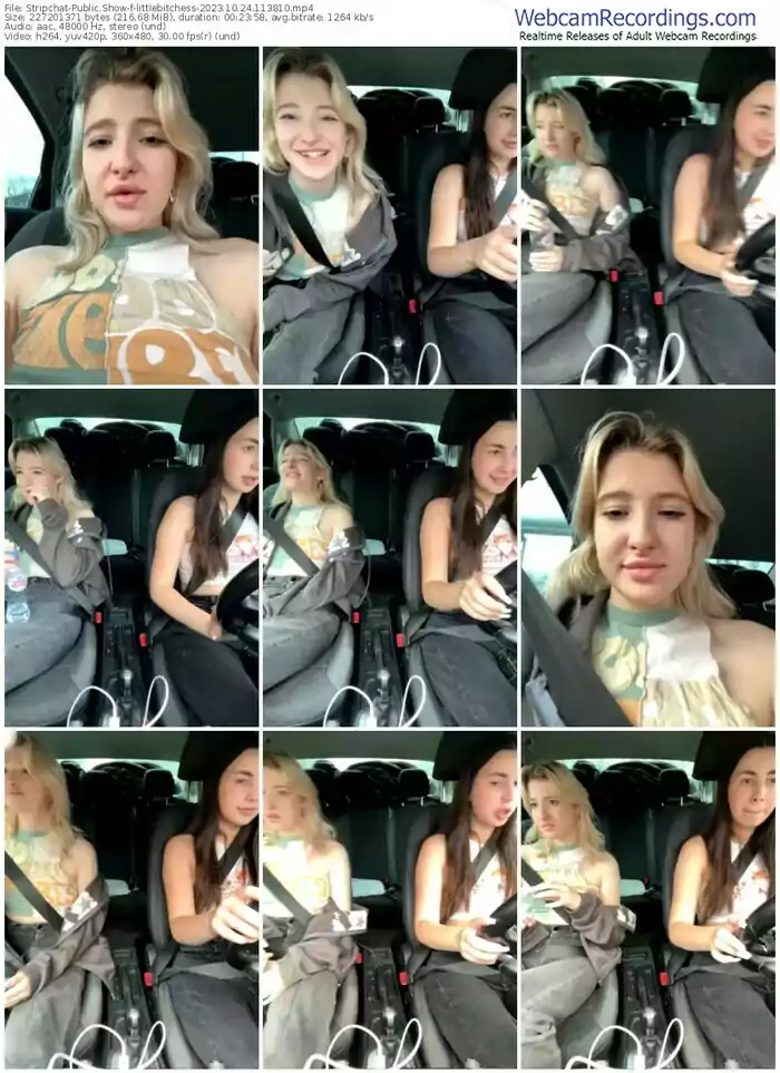 stripchat-littlebitchess-10-24-2023-11-38-10