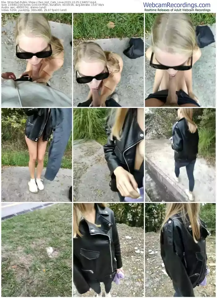 stripchat-two_hot_cats_love-10-25-2023-13-46-57