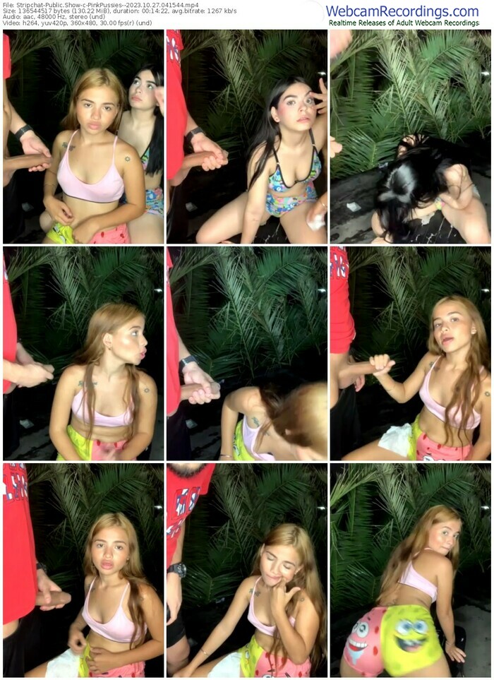stripchat-pinkpussies--10-27-2023-04-15-44