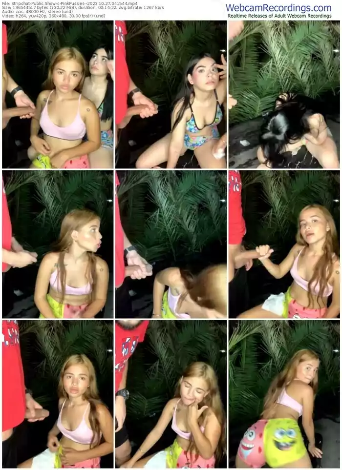 stripchat-pinkpussies--10-27-2023-04-15-44