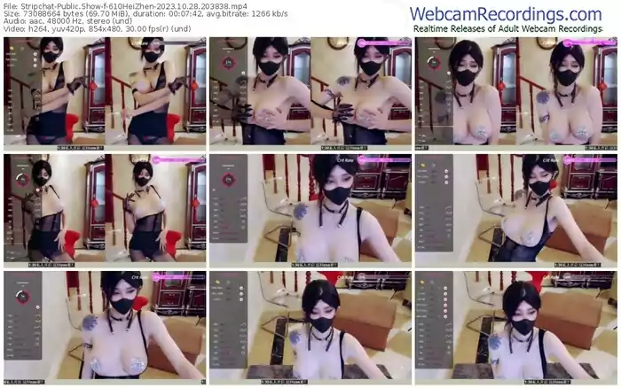stripchat-610heizhen-10-28-2023-20-38-38