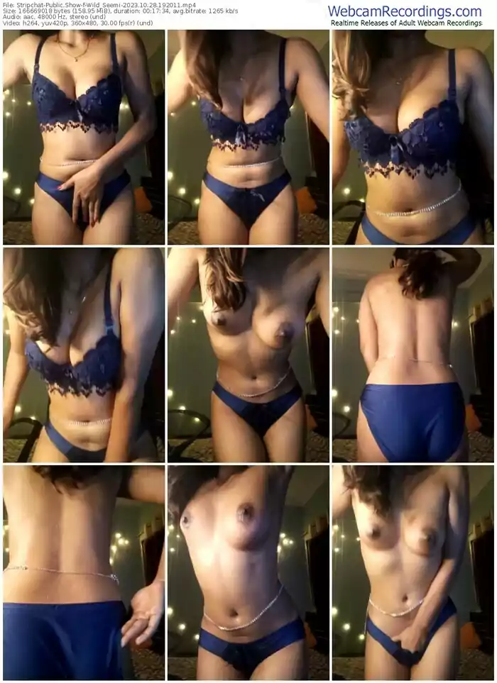 stripchat-wild_seemi-10-28-2023-19-20-11