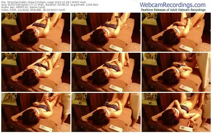 stripchat-irohani_usagi-10-28-2023-13-44-07