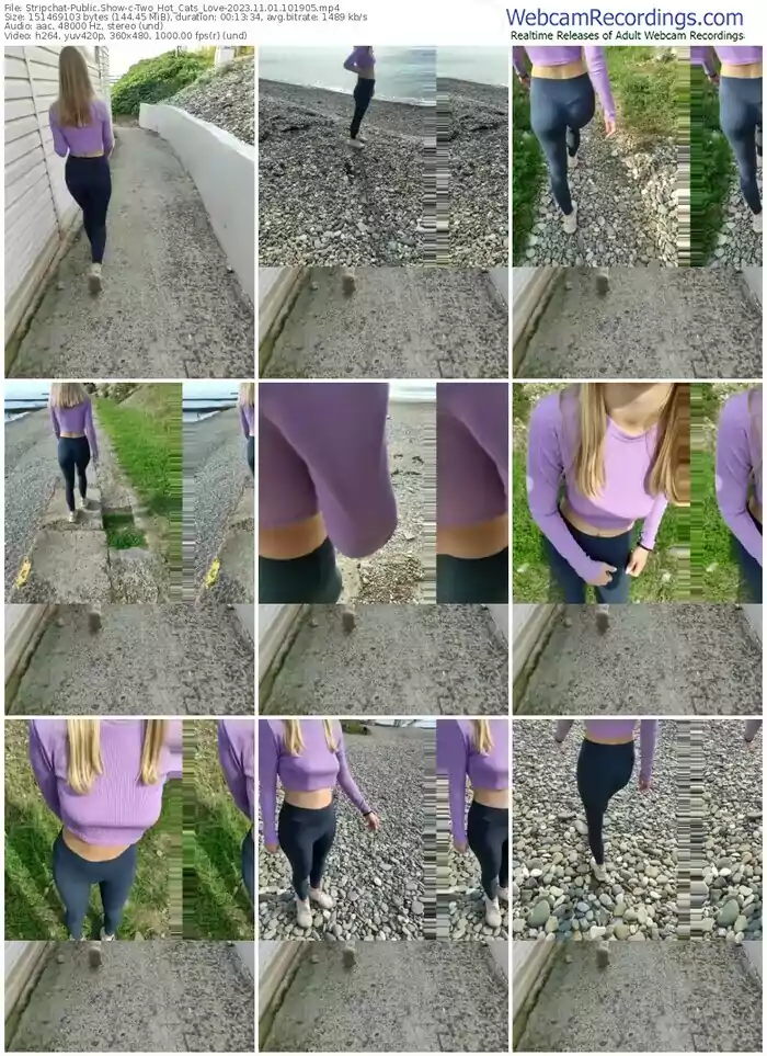 stripchat-two_hot_cats_love-11-01-2023-10-19-05