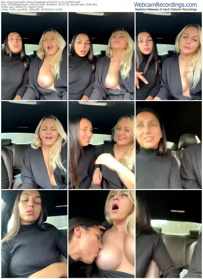 stripchat-aestheticaa-11-01-2023-04-33-08