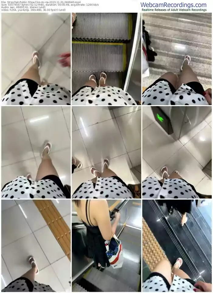 stripchat-ko-mi-na-11-01-2023-08-49-40