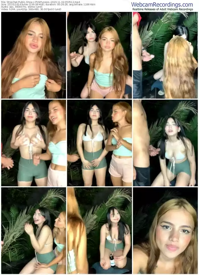 stripchat-pinkpussies--11-02-2023-05-05-12