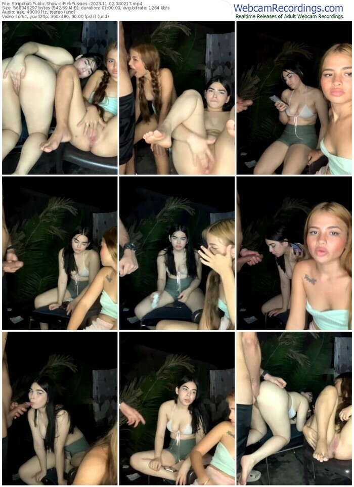 stripchat-pinkpussies--11-02-2023-08-02-17