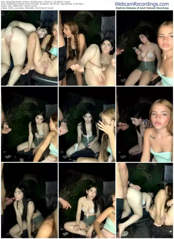 stripchat-pinkpussies--11-02-2023-08-02-17
