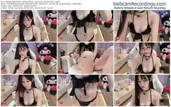 stripchat-fog--11-02-2023-00-15-41