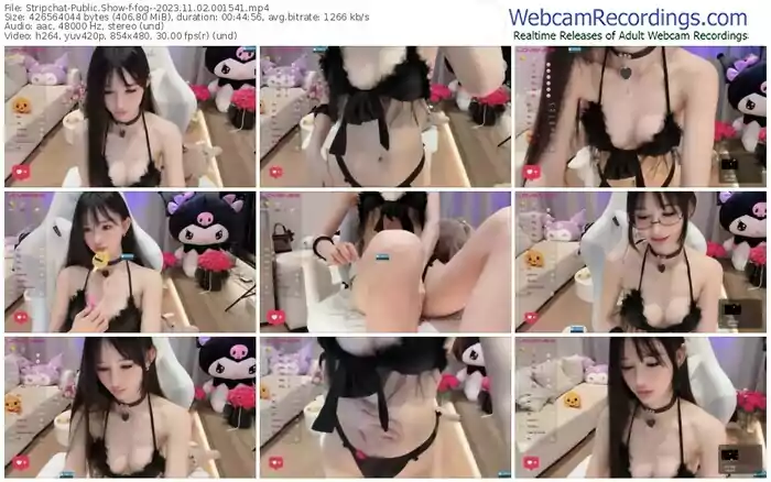 stripchat-fog--11-02-2023-00-15-41