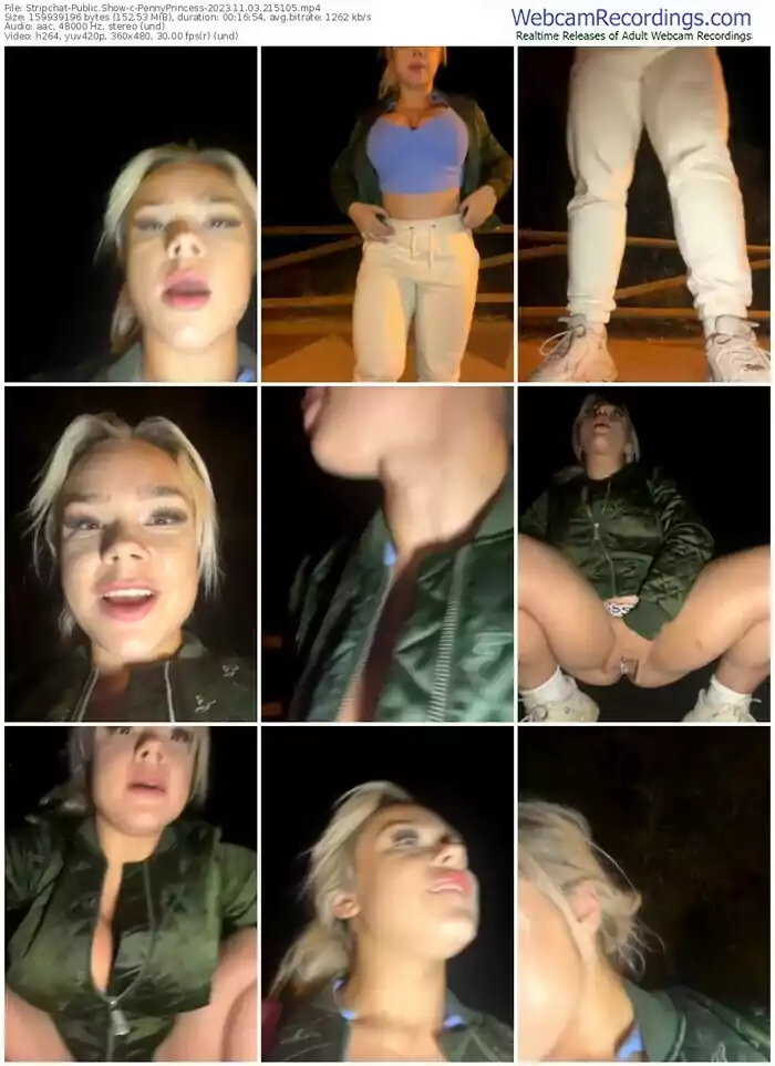 stripchat-pennyprincess-11-03-2023-21-51-05