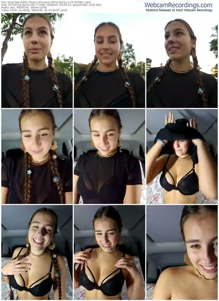 stripchat-princess_afina-11-03-2023-00-54-41