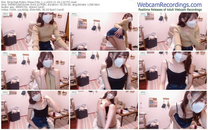 stripchat-mii_v_v-11-03-2023-12-27-57