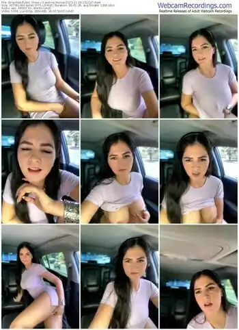 stripchat-carolina_novoa-11-04-2023-16-22-27