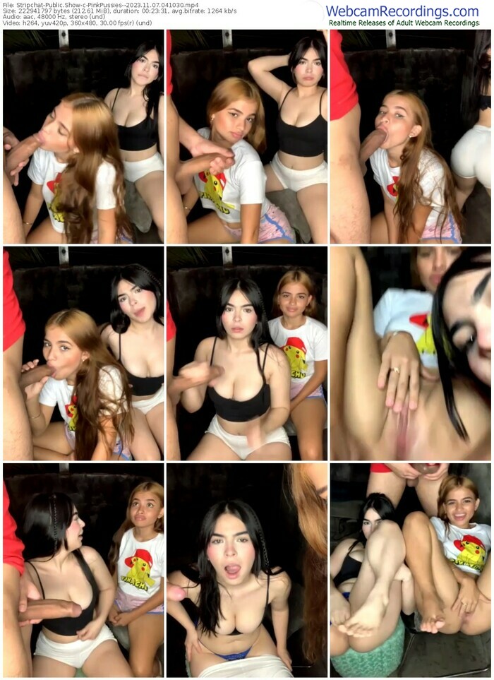 stripchat-pinkpussies--11-07-2023-04-10-30