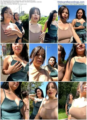 stripchat-nalgonasex_-11-08-2023-14-21-56