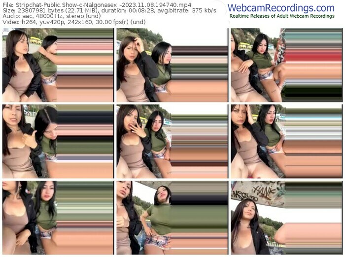 stripchat-nalgonasex_-11-08-2023-19-47-40