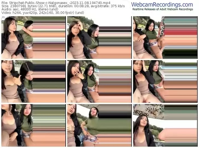 stripchat-nalgonasex_-11-08-2023-19-47-40