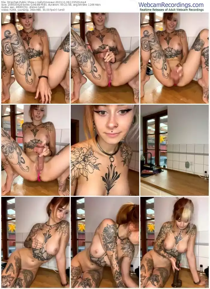 stripchat-sallydinosaur-11-08-2023-13-35-29