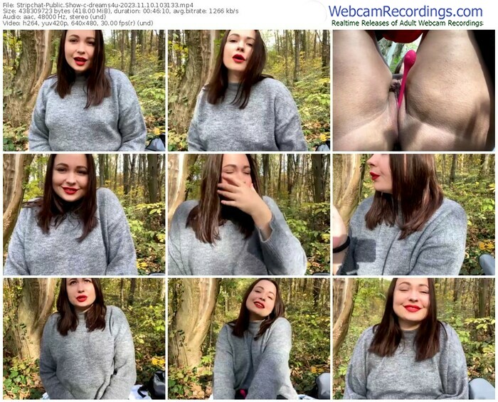 stripchat-dreams4u-11-10-2023-10-31-33