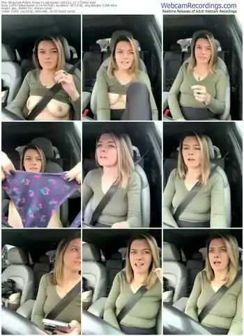 stripchat-ladylena1-11-12-2023-17-19-42