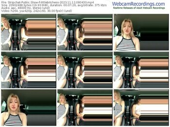 stripchat-littlebitchess-11-12-2023-08-04-30