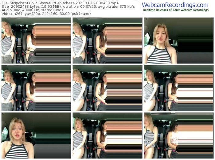 stripchat-littlebitchess-11-12-2023-08-04-30