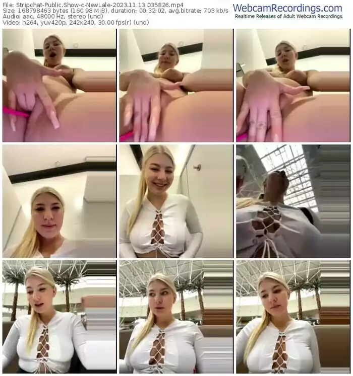 stripchat-newlale-11-13-2023-03-58-26