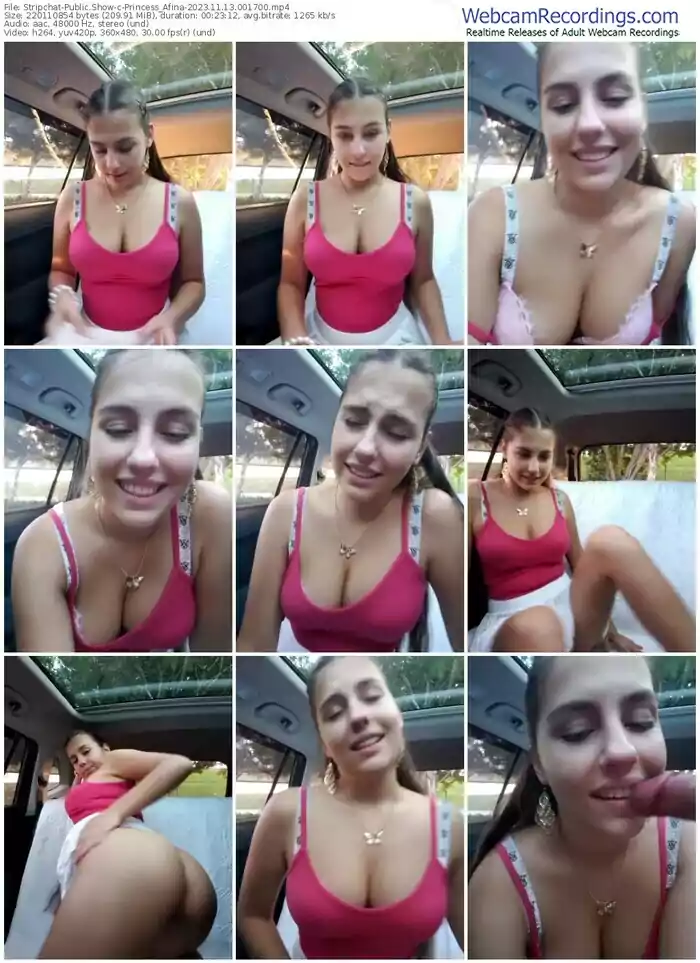 stripchat-princess_afina-11-13-2023-00-17-00