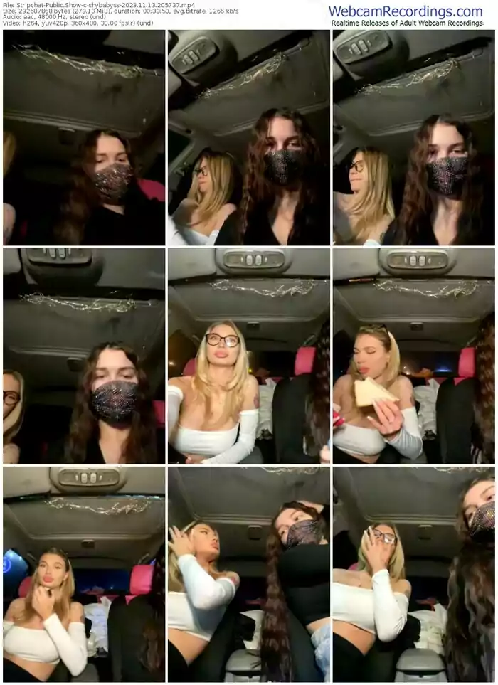 stripchat-shybabyss-11-13-2023-20-57-37