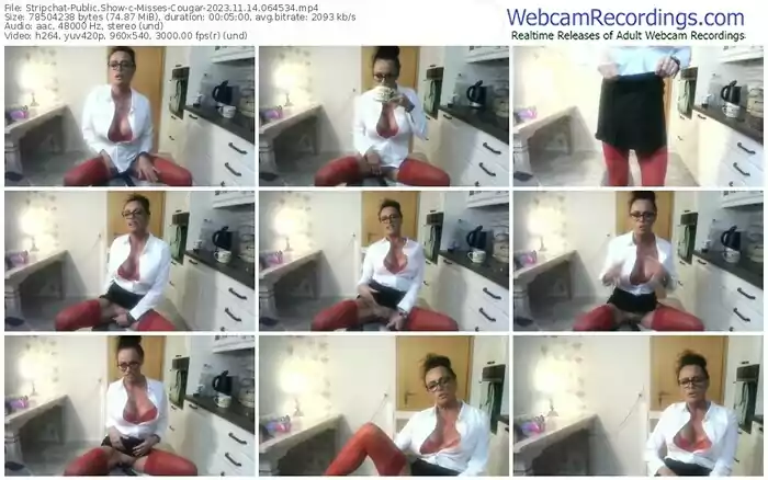 stripchat-misses-cougar-11-14-2023-06-45-34