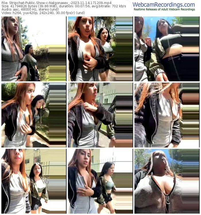 stripchat-nalgonasex_-11-14-2023-17-12-09