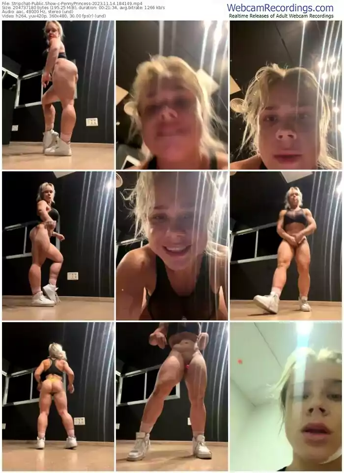 stripchat-pennyprincess-11-14-2023-18-41-49