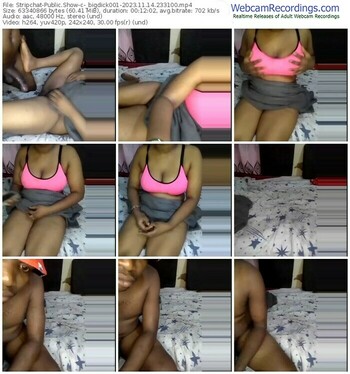 stripchat-_bigdick001-11-14-2023-23-31-00