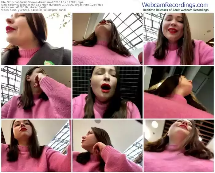 stripchat-dreams4u-11-14-2023-12-08-41