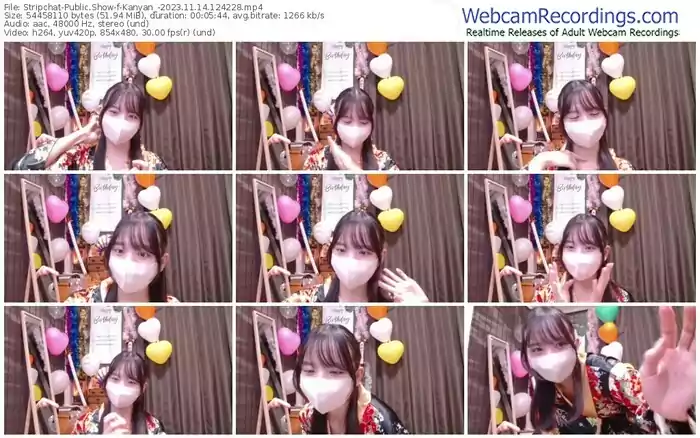 stripchat-kanyan_-11-14-2023-12-42-28