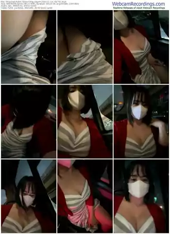 stripchat-may-squirt-11-14-2023-10-17-01