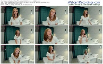 stripchat-rosewellsk-11-14-2023-00-35-53