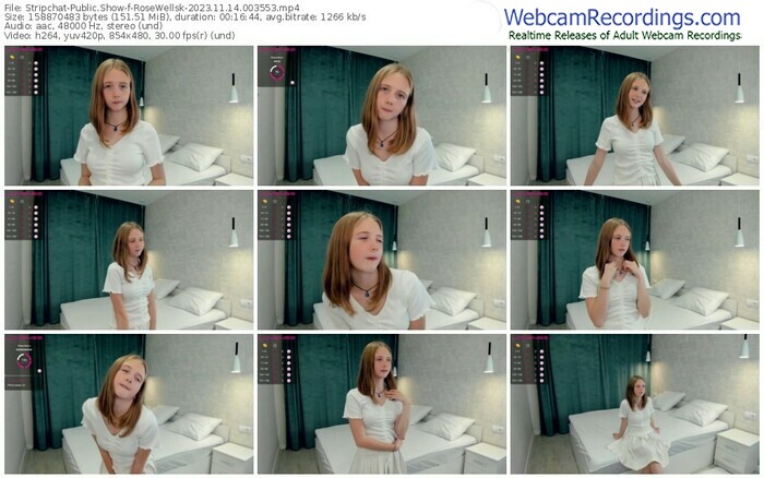 stripchat-rosewellsk-11-14-2023-00-35-53