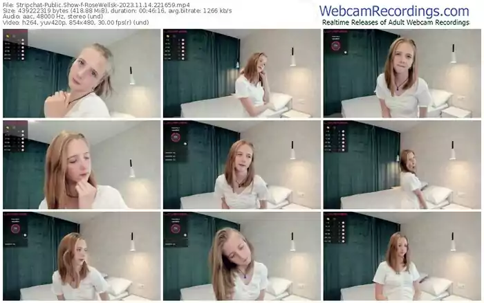 stripchat-rosewellsk-11-14-2023-22-16-59