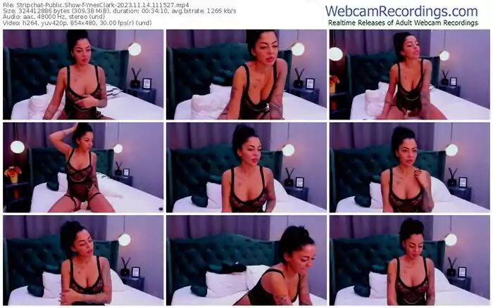 stripchat-ynesclark-11-14-2023-11-15-27