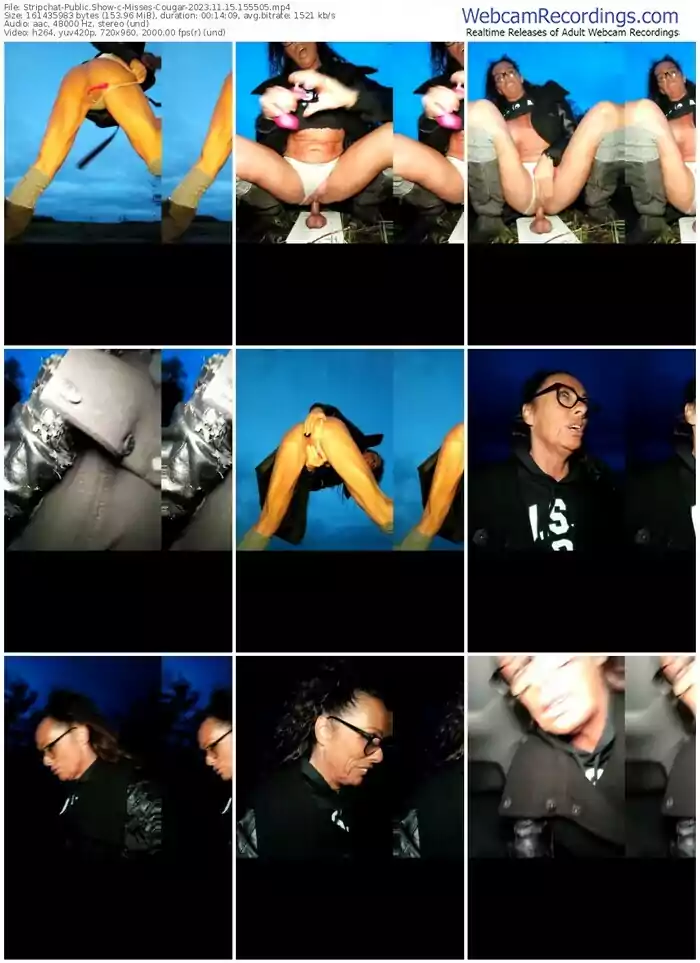 stripchat-misses-cougar-11-15-2023-15-55-05